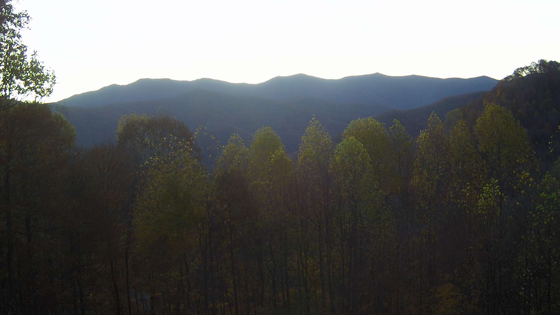 click for next image... slideshow image