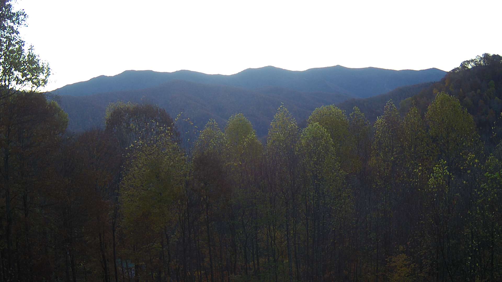 click for next image... slideshow image