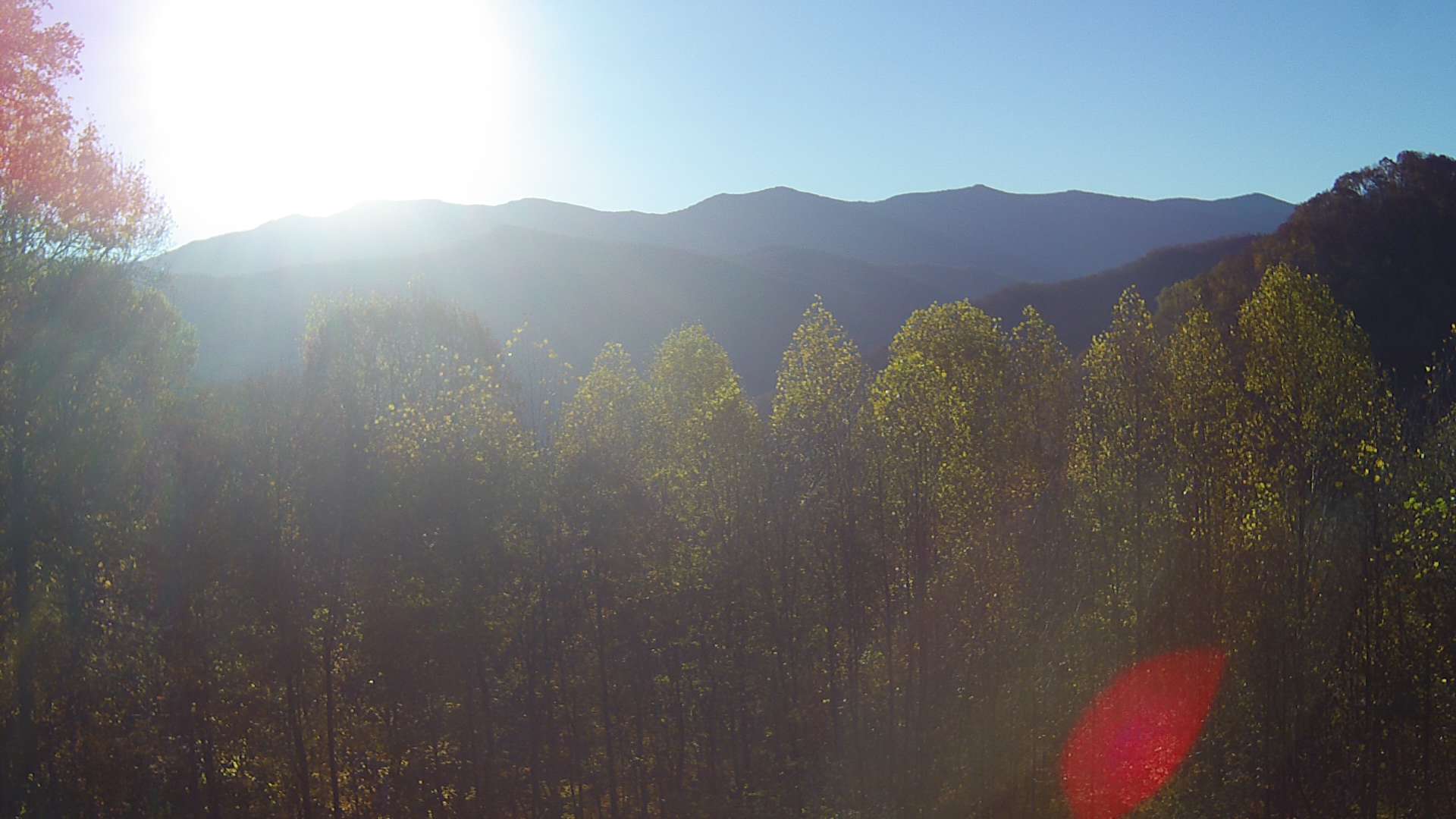 click for next image... slideshow image