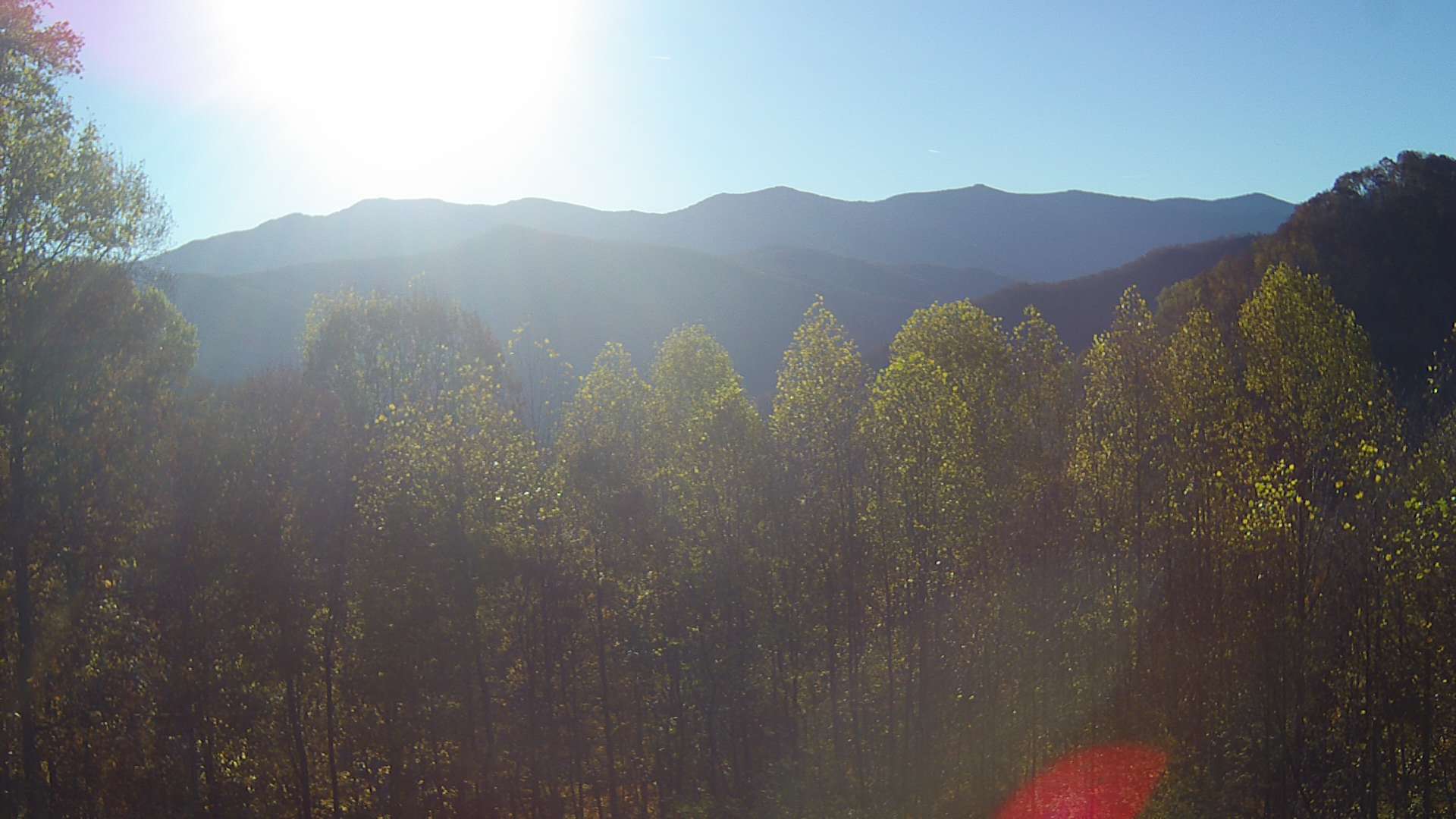 click for next image... slideshow image