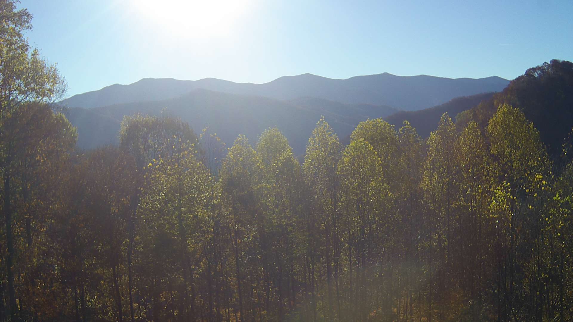 click for next image... slideshow image