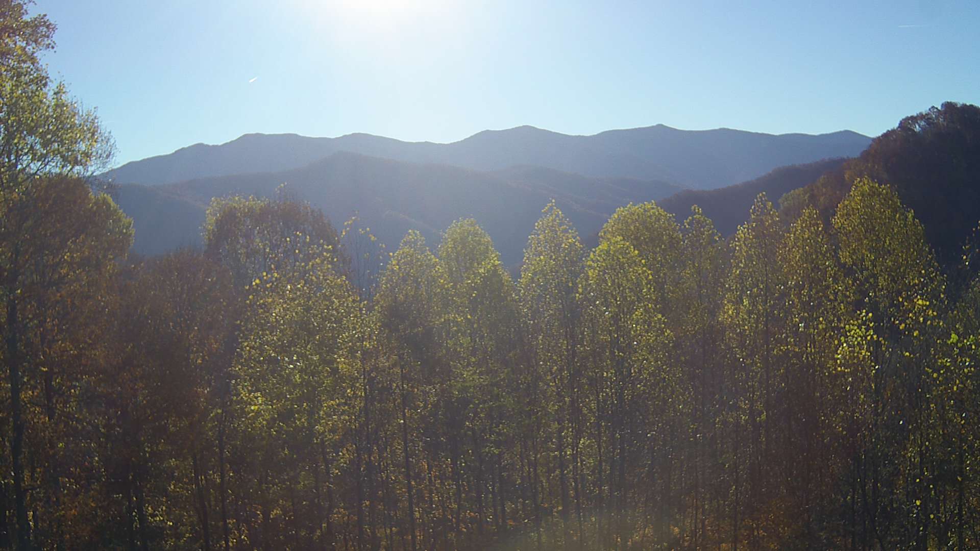 click for next image... slideshow image