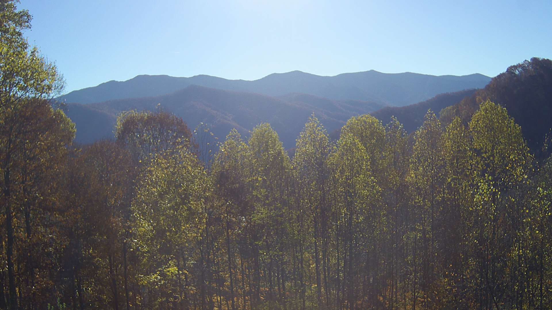 click for next image... slideshow image