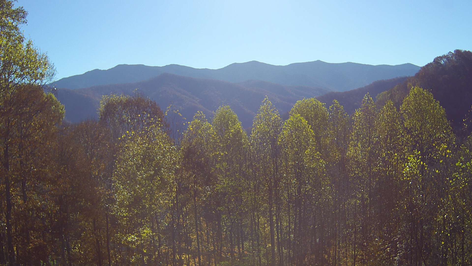 click for next image... slideshow image