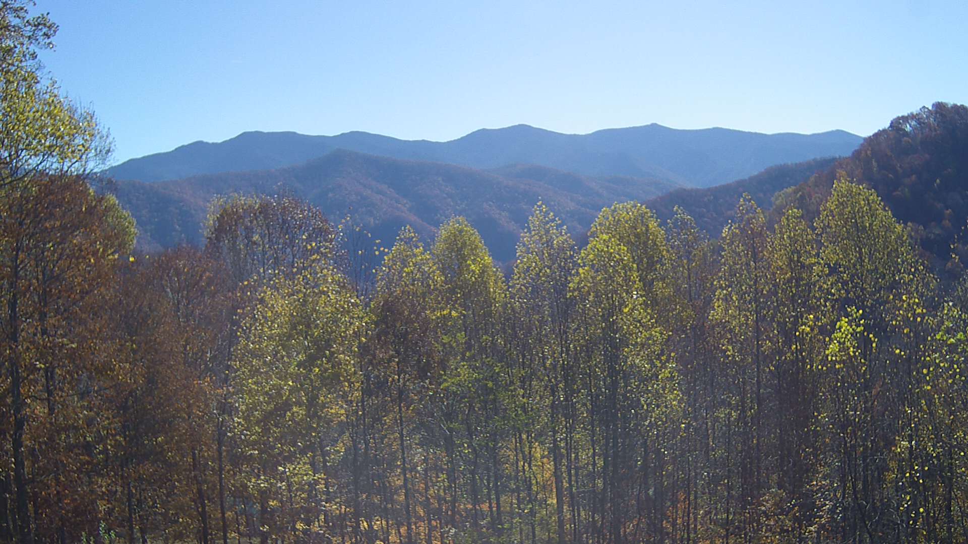 click for next image... slideshow image