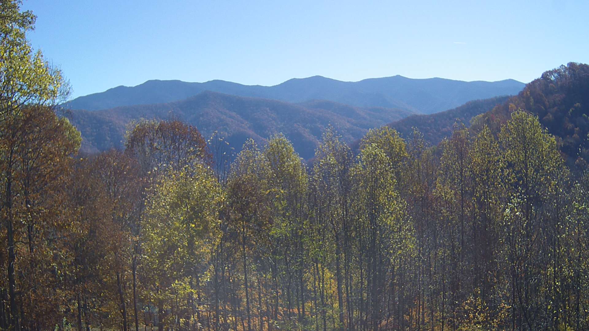 click for next image... slideshow image