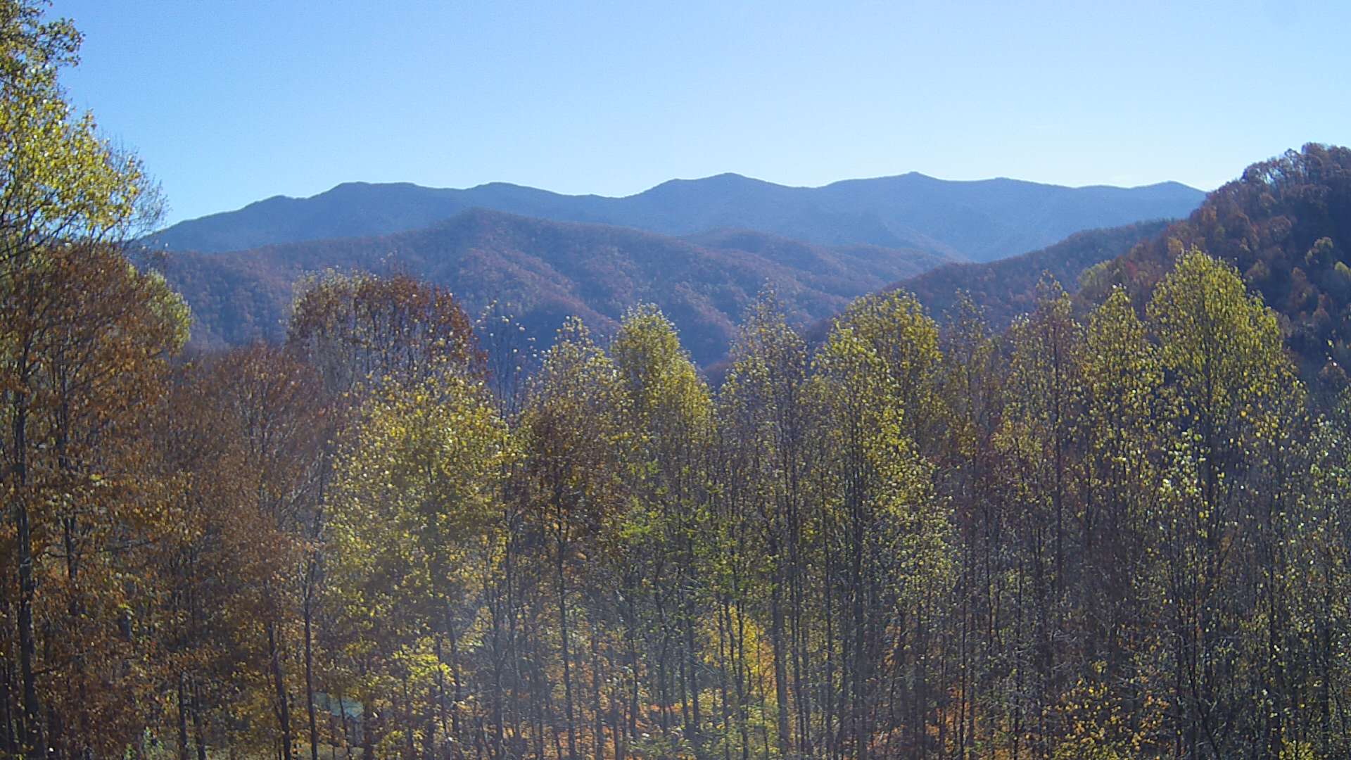 click for next image... slideshow image