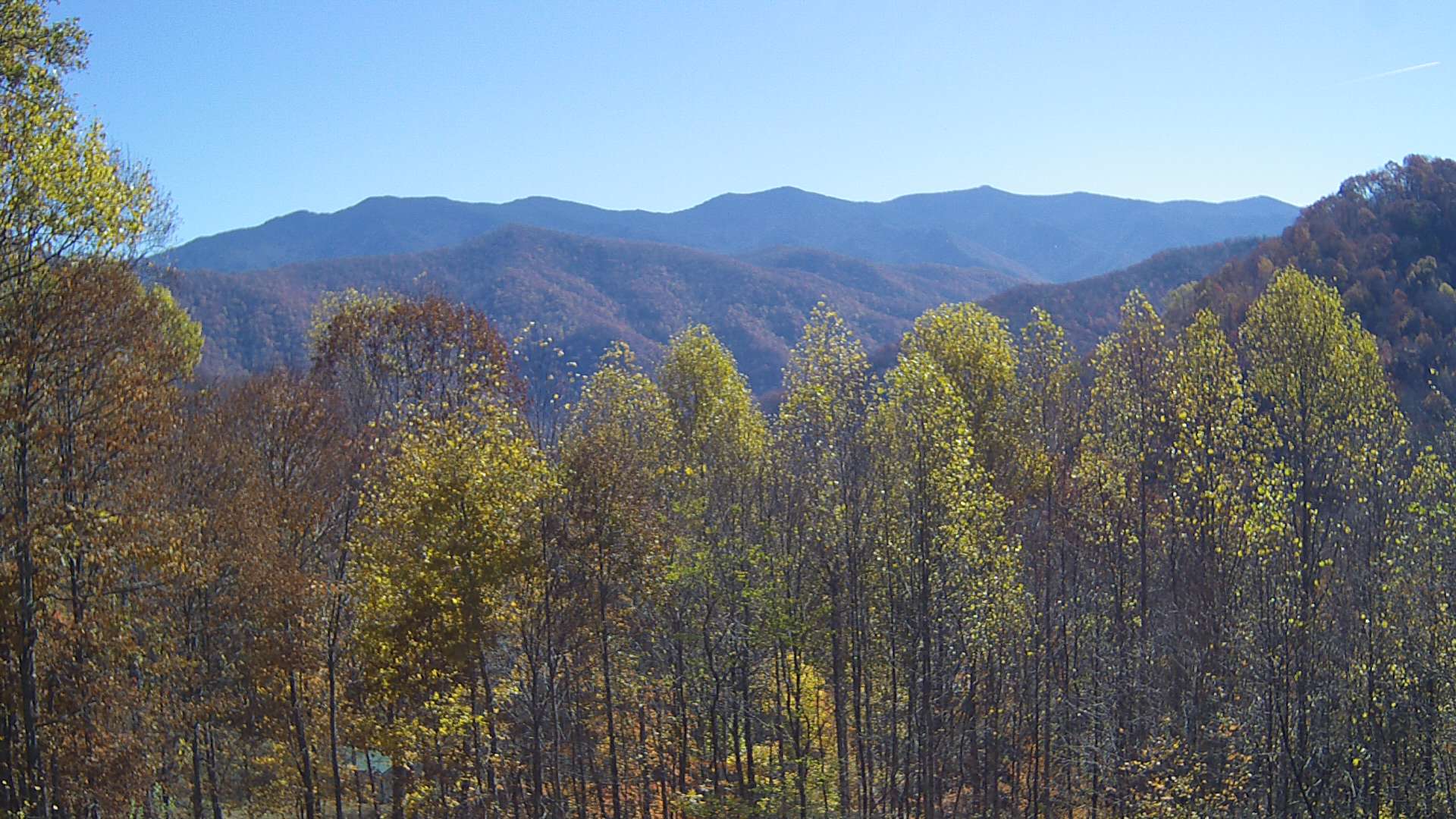 click for next image... slideshow image