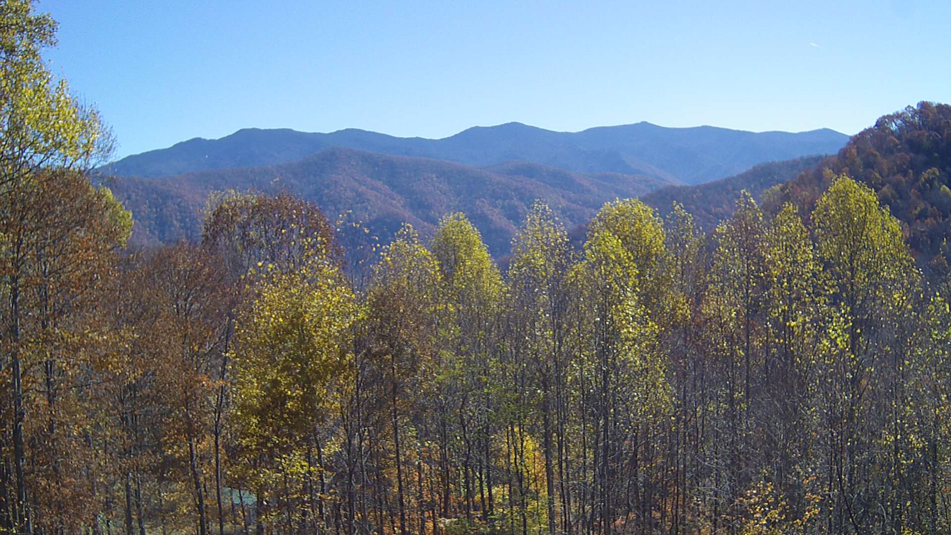 click for next image... slideshow image