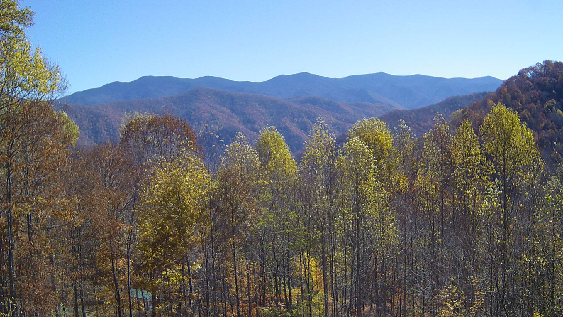 click for next image... slideshow image