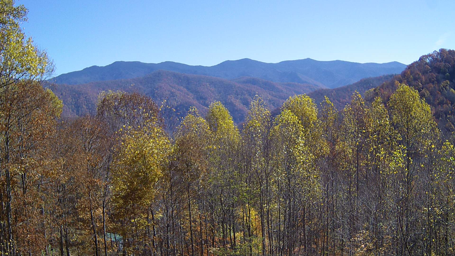 click for next image... slideshow image