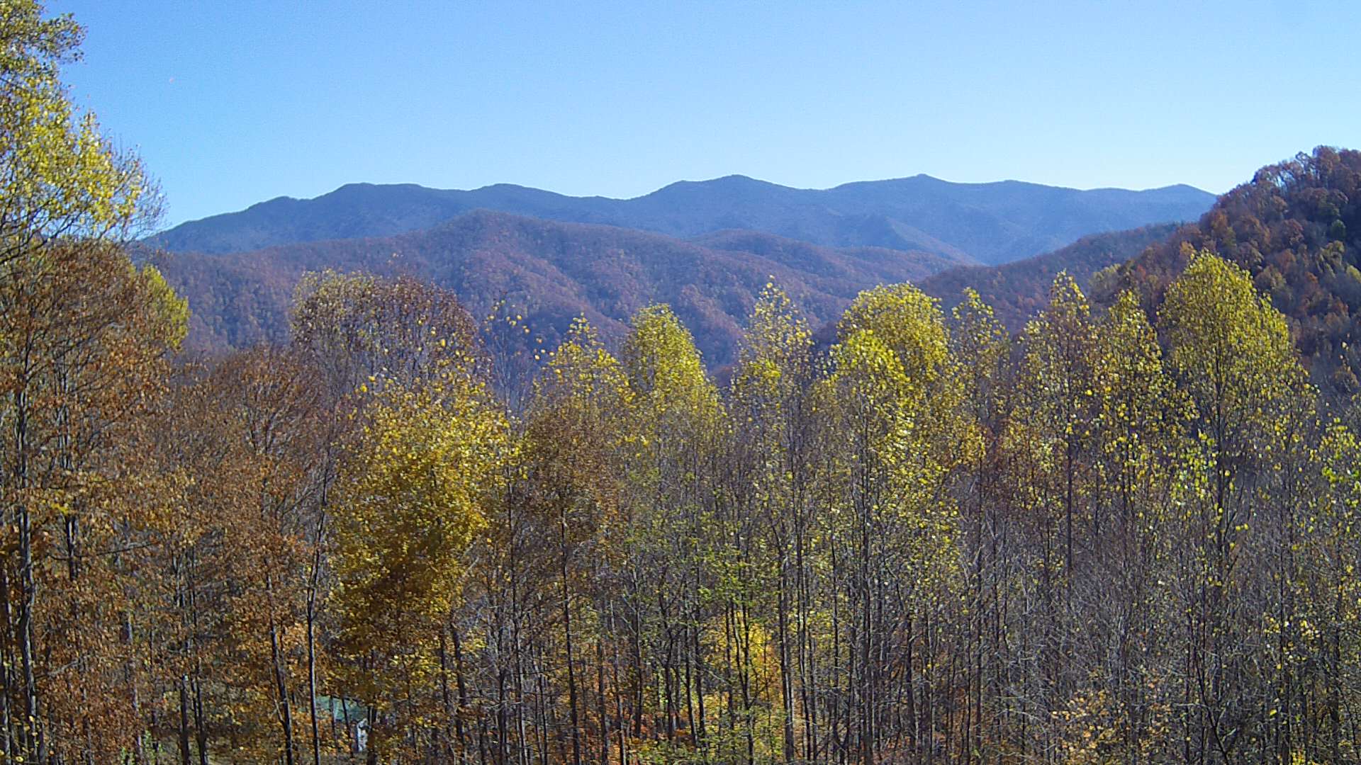 click for next image... slideshow image