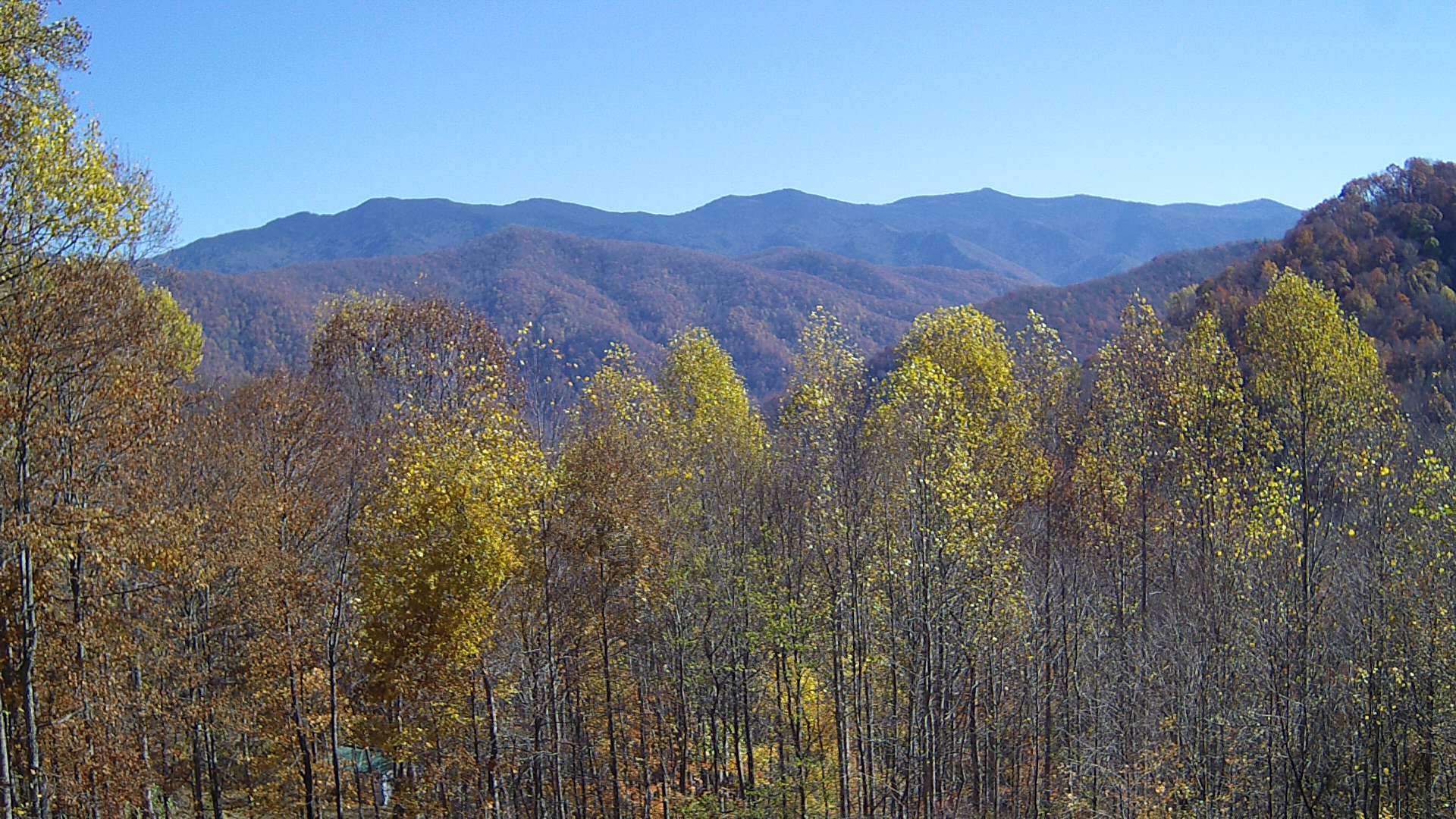 click for next image... slideshow image