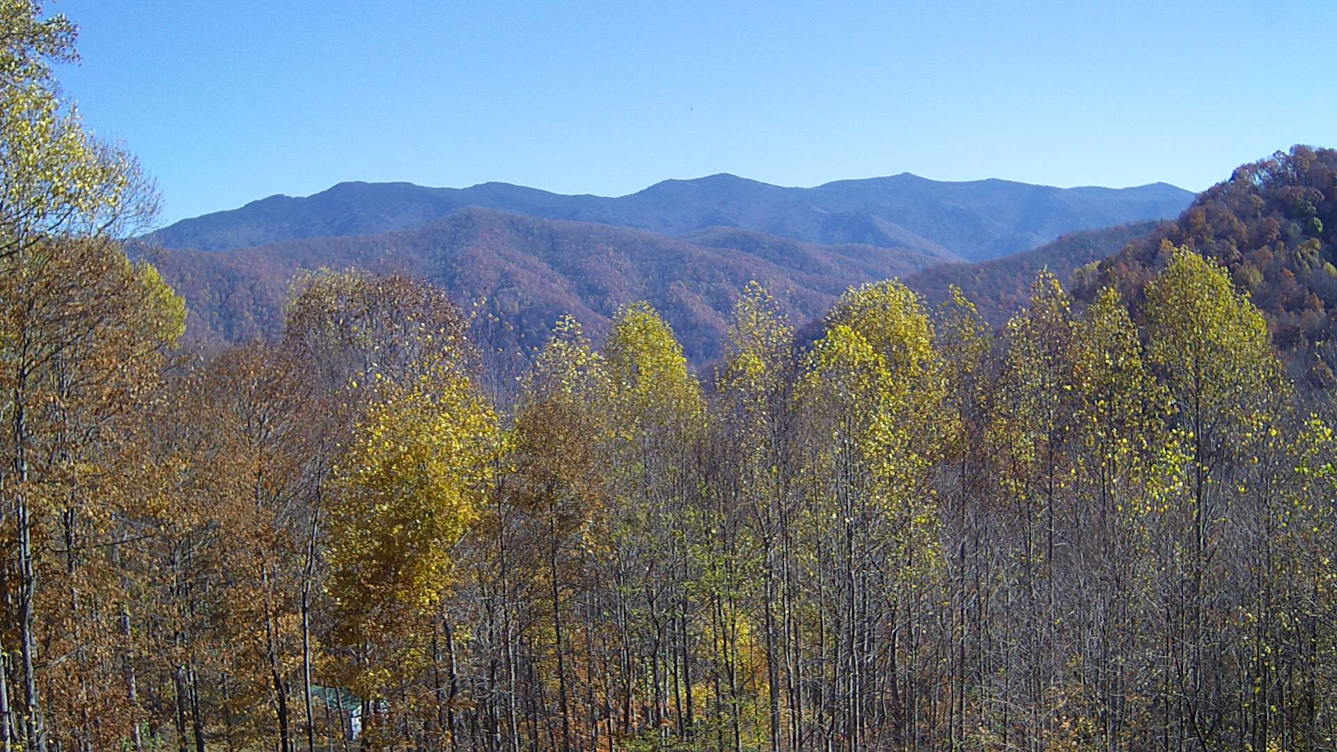 click for next image... slideshow image