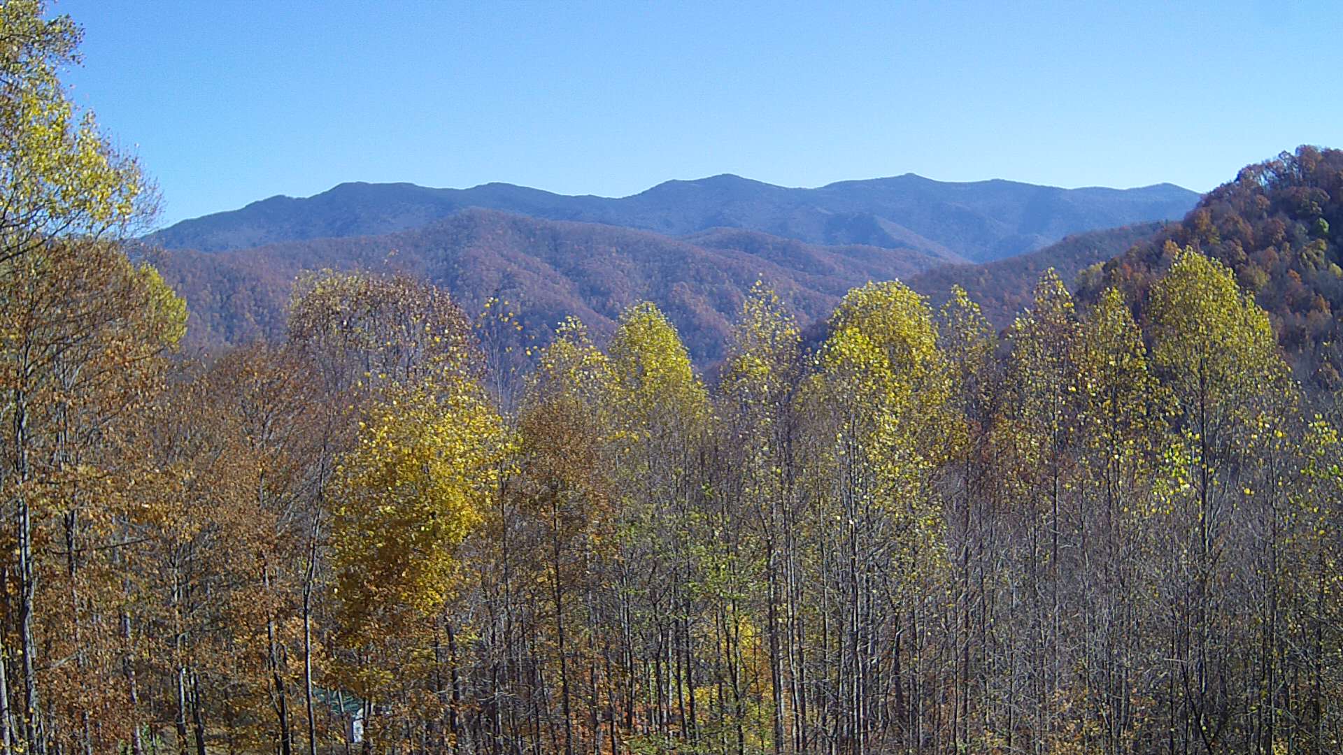 click for next image... slideshow image