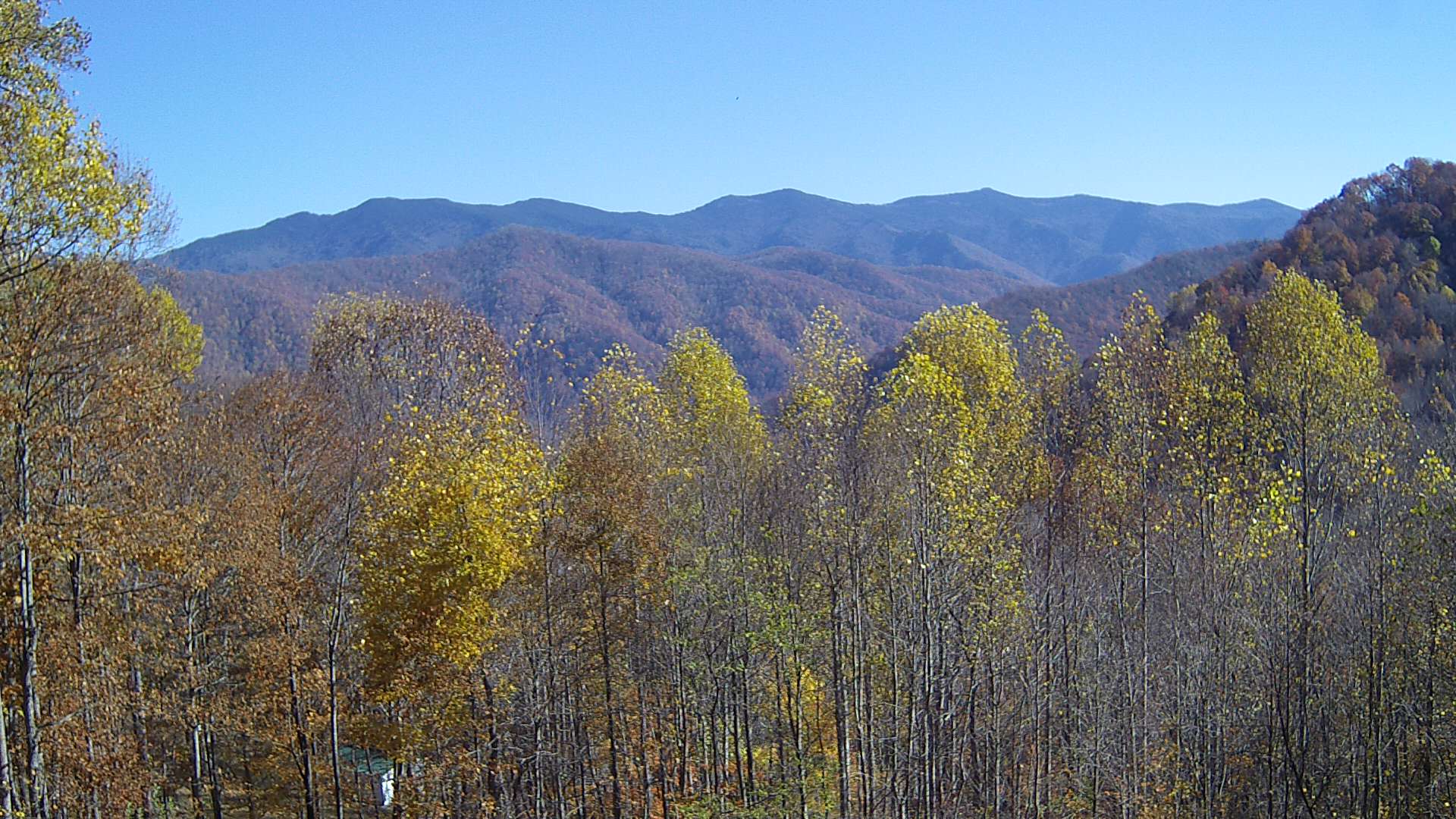 click for next image... slideshow image