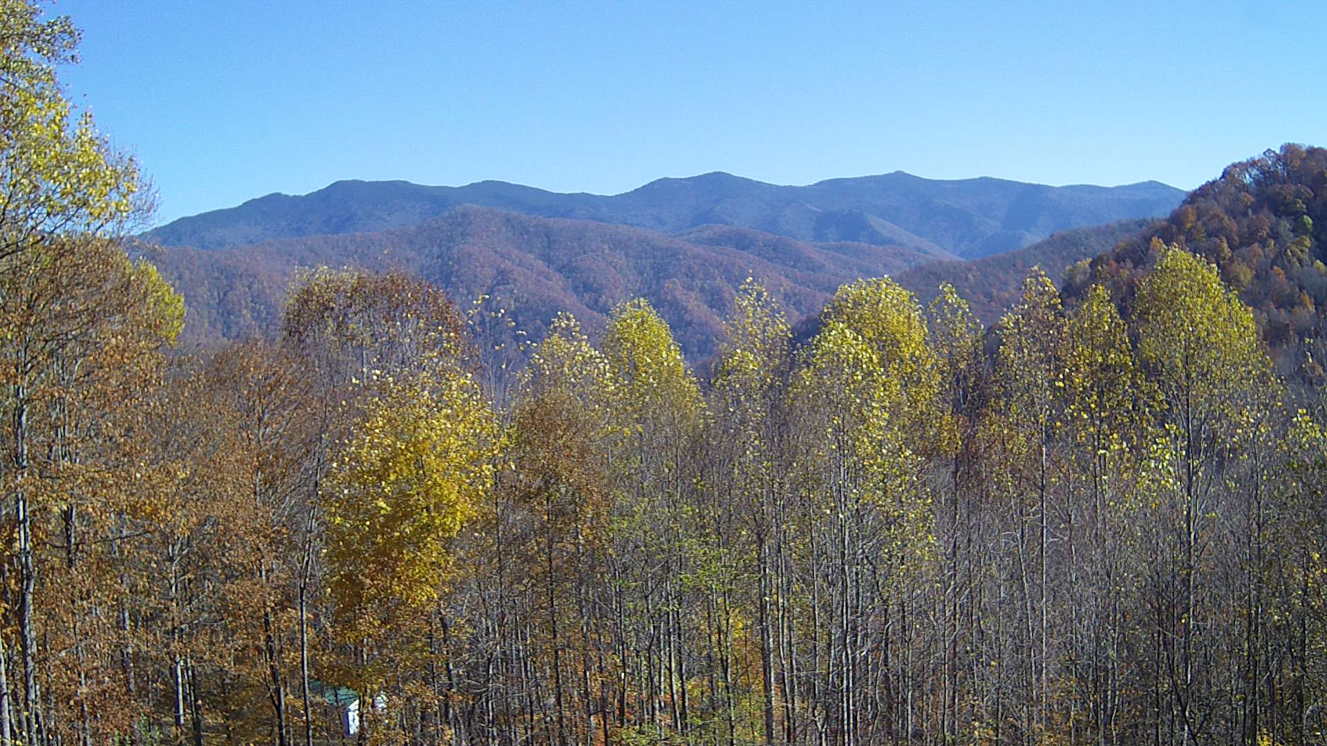 click for next image... slideshow image