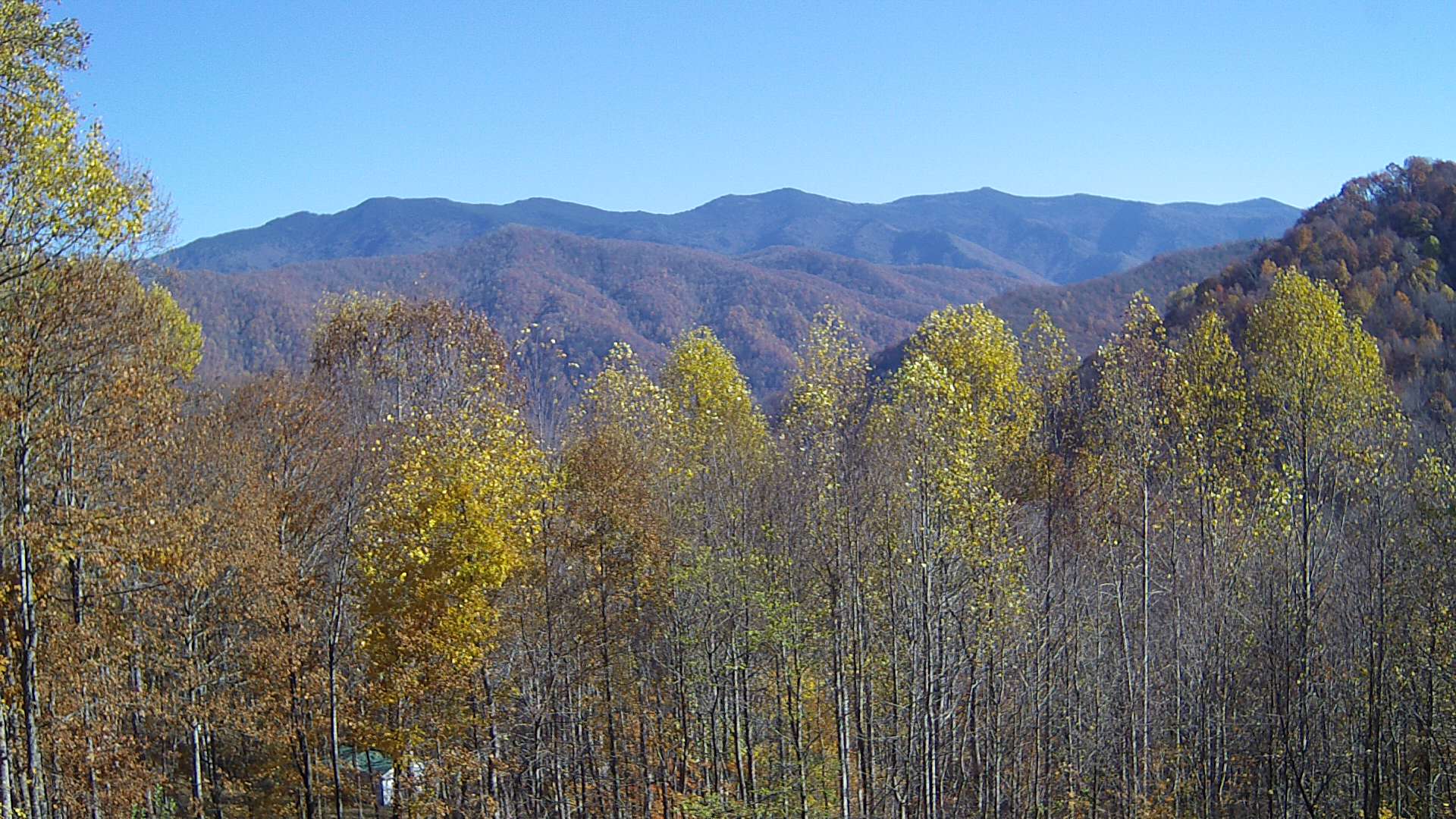 click for next image... slideshow image