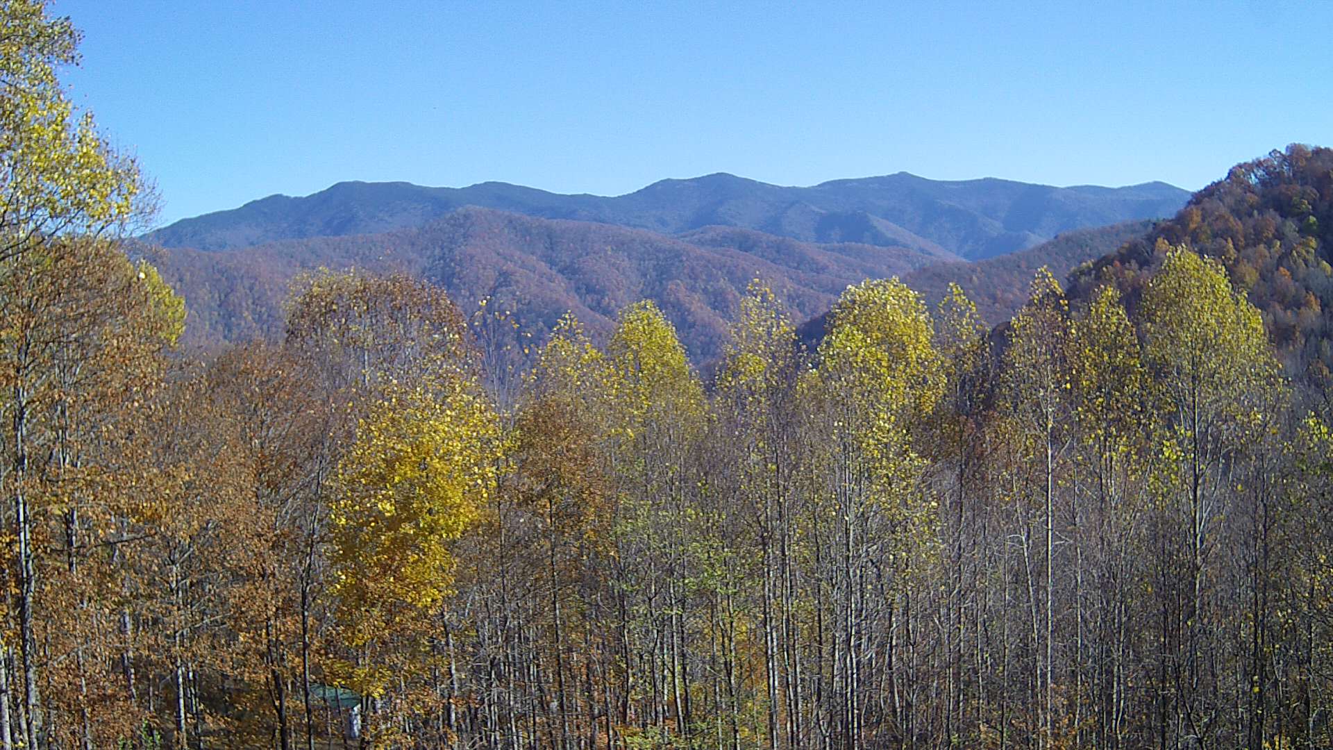 click for next image... slideshow image