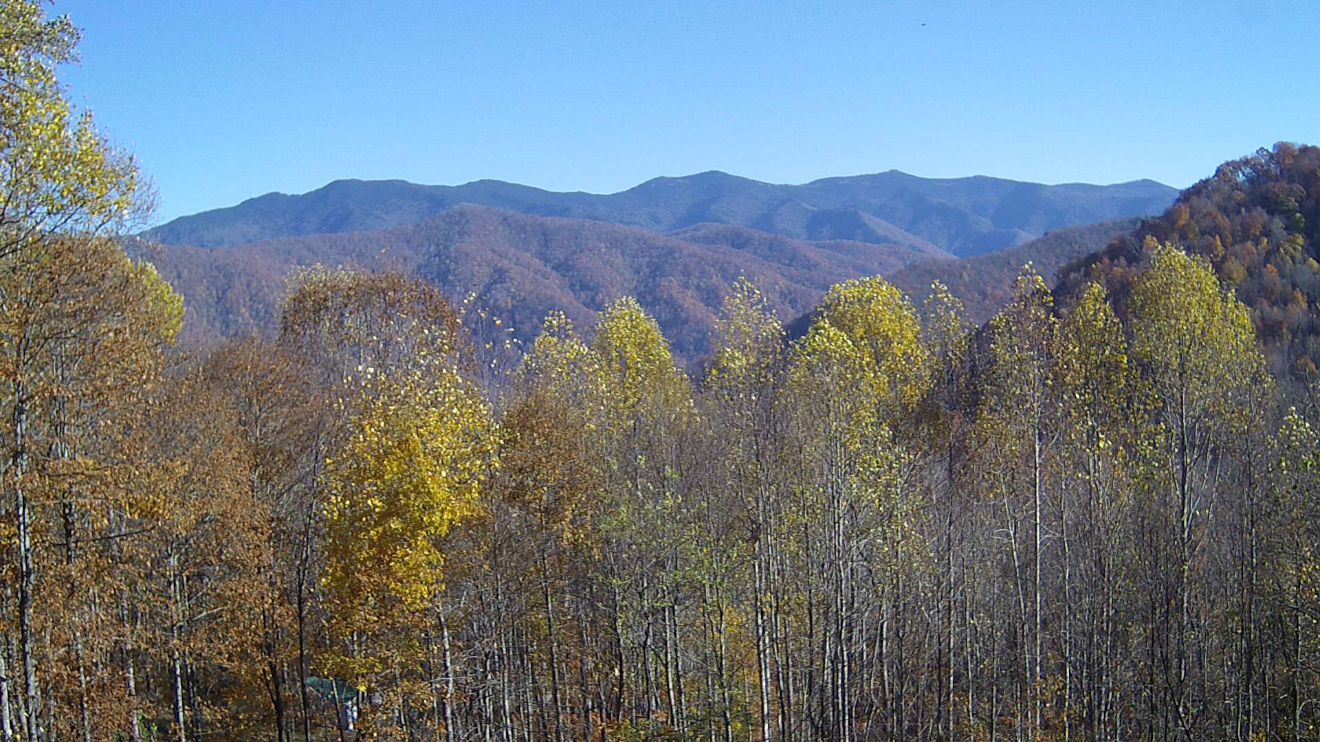 click for next image... slideshow image