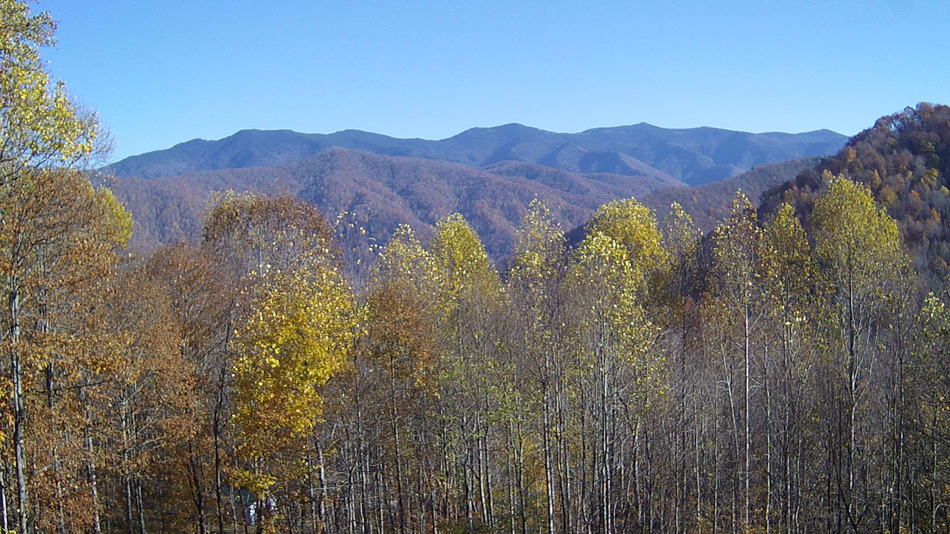 click for next image... slideshow image