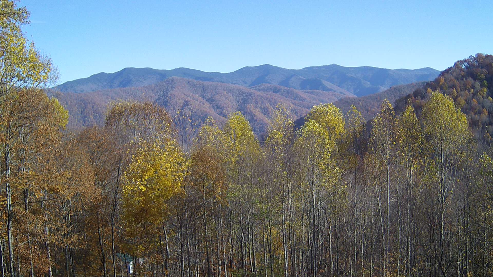 click for next image... slideshow image