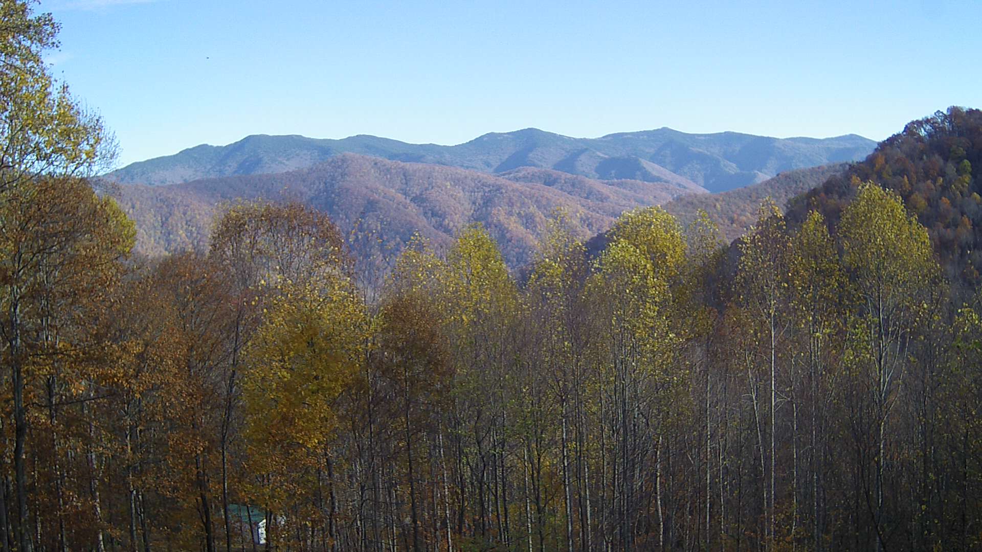 click for next image... slideshow image