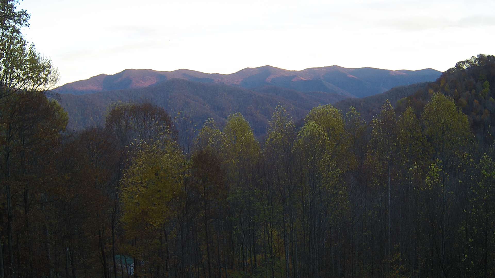 click for next image... slideshow image