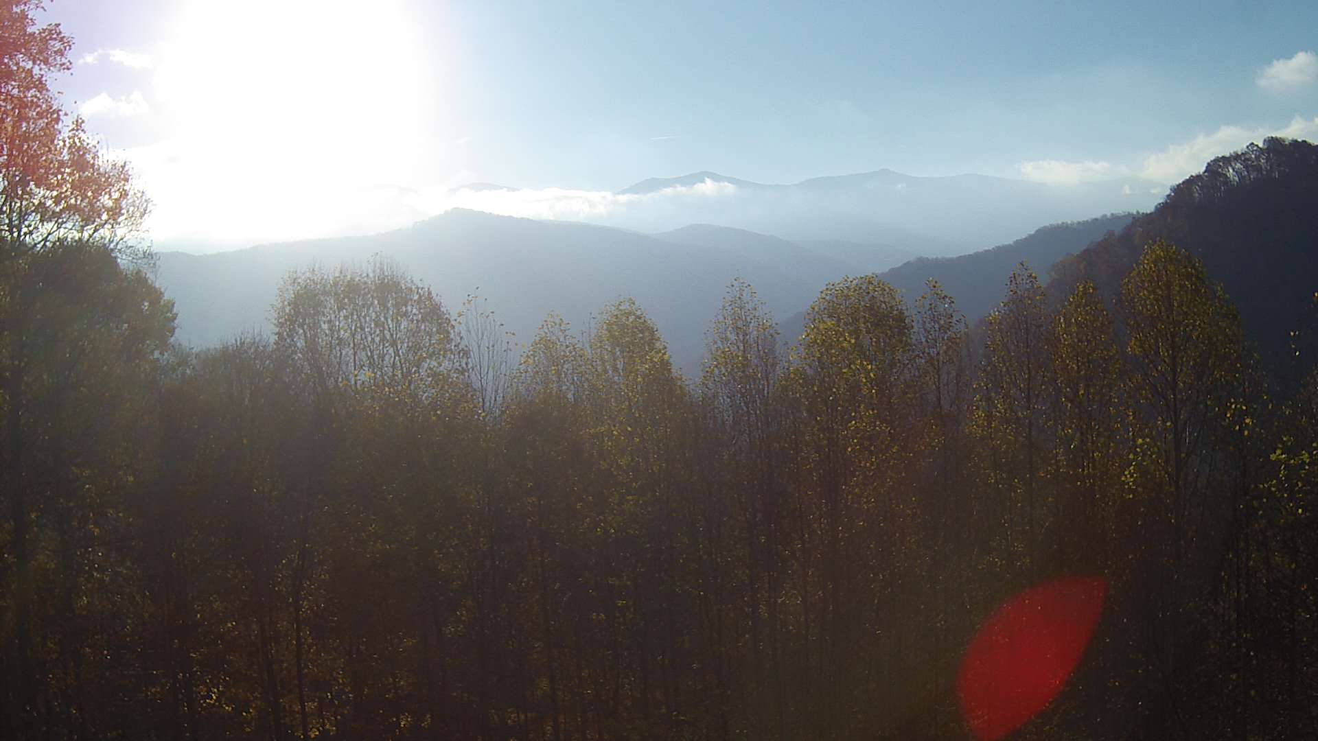 click for next image... slideshow image