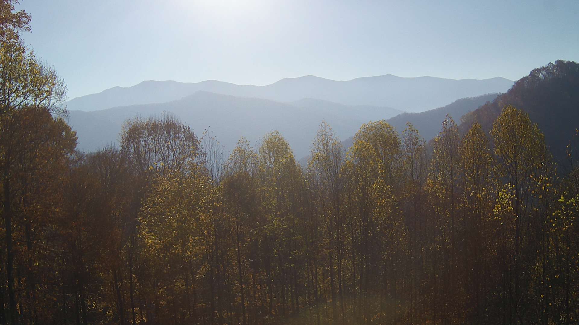 click for next image... slideshow image