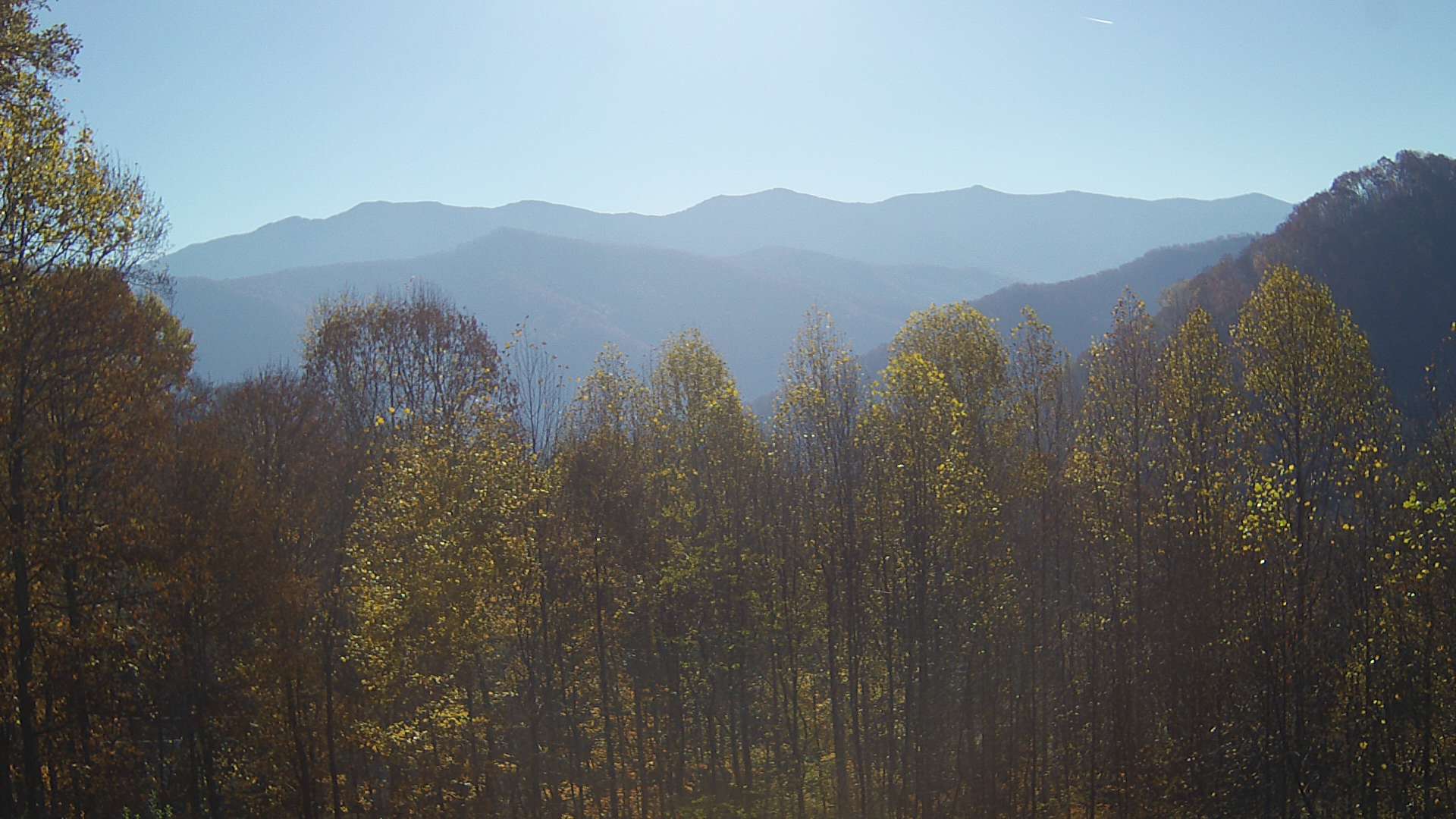 click for next image... slideshow image