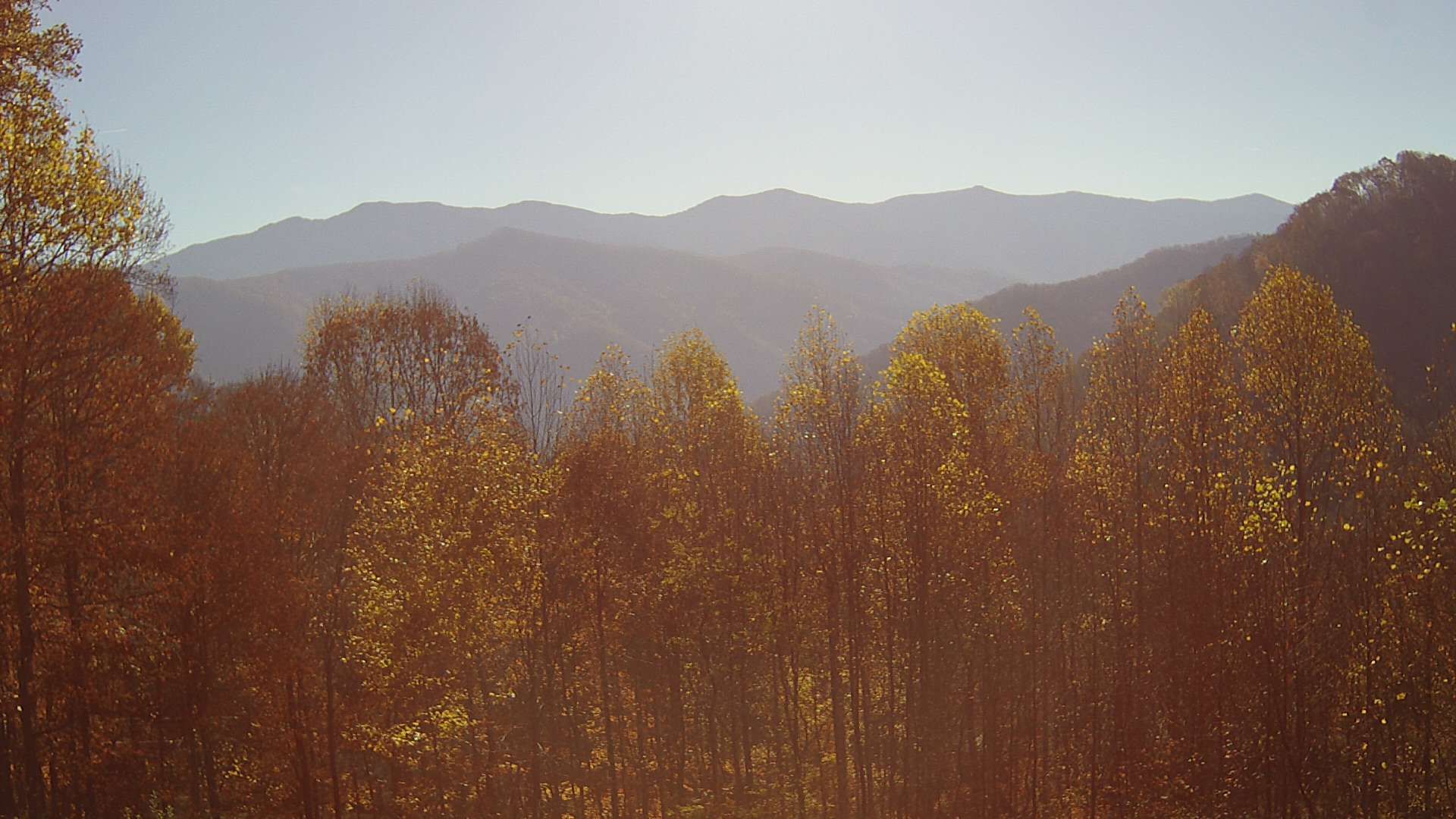 click for next image... slideshow image