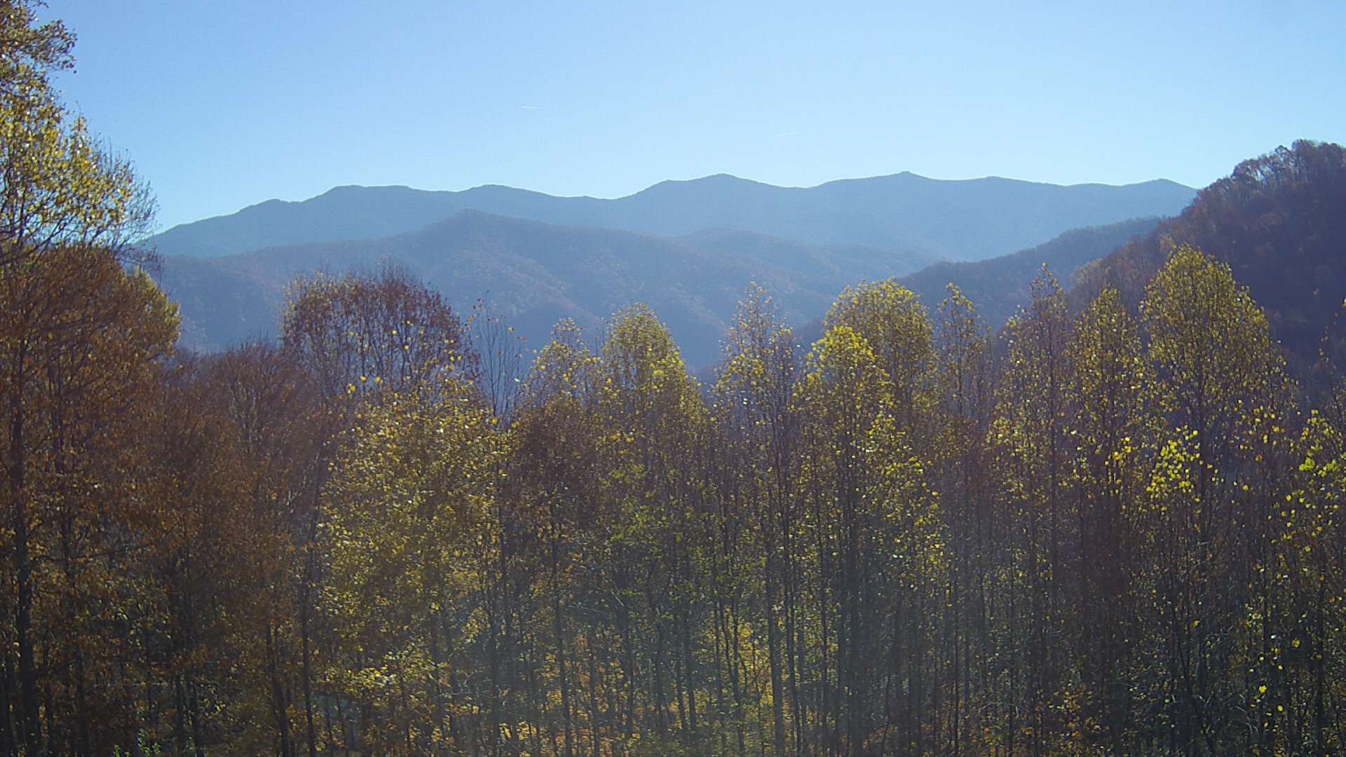 click for next image... slideshow image