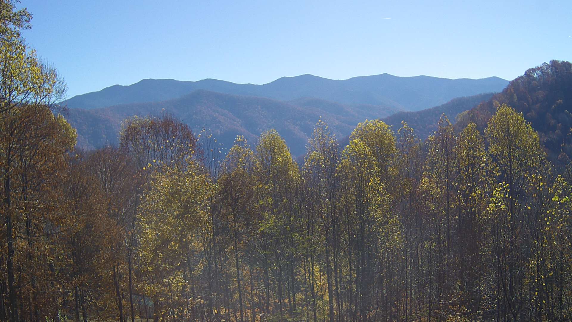 click for next image... slideshow image