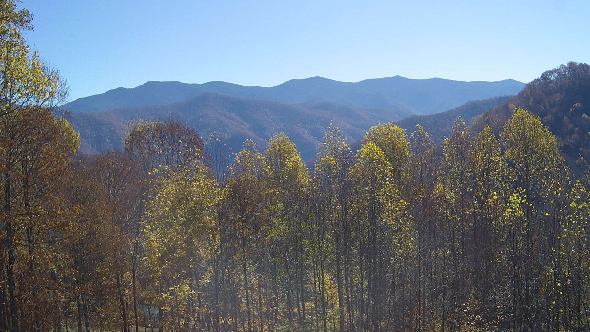 click for next image... slideshow image