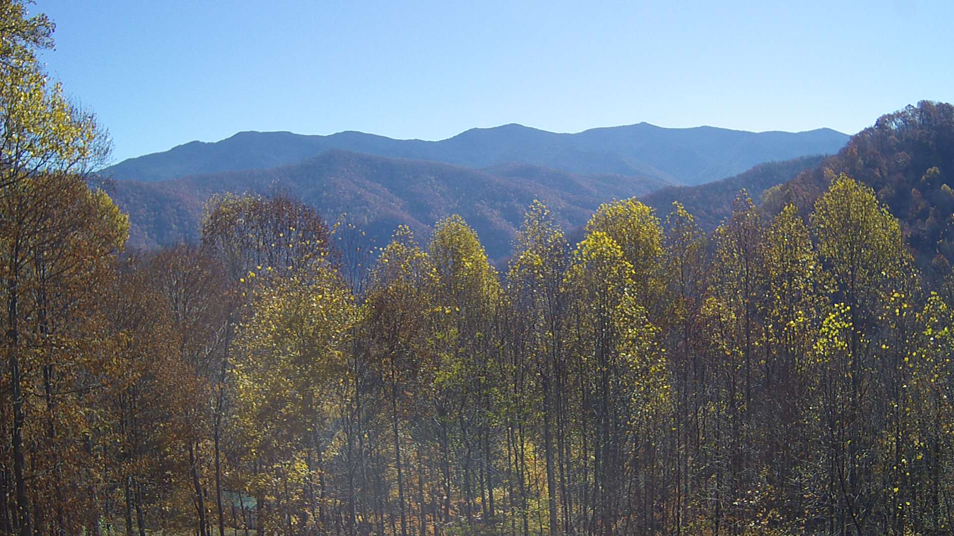 click for next image... slideshow image