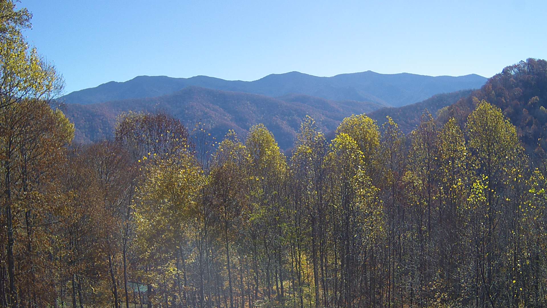 click for next image... slideshow image