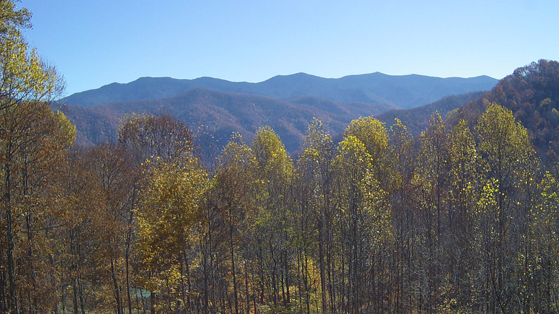 click for next image... slideshow image