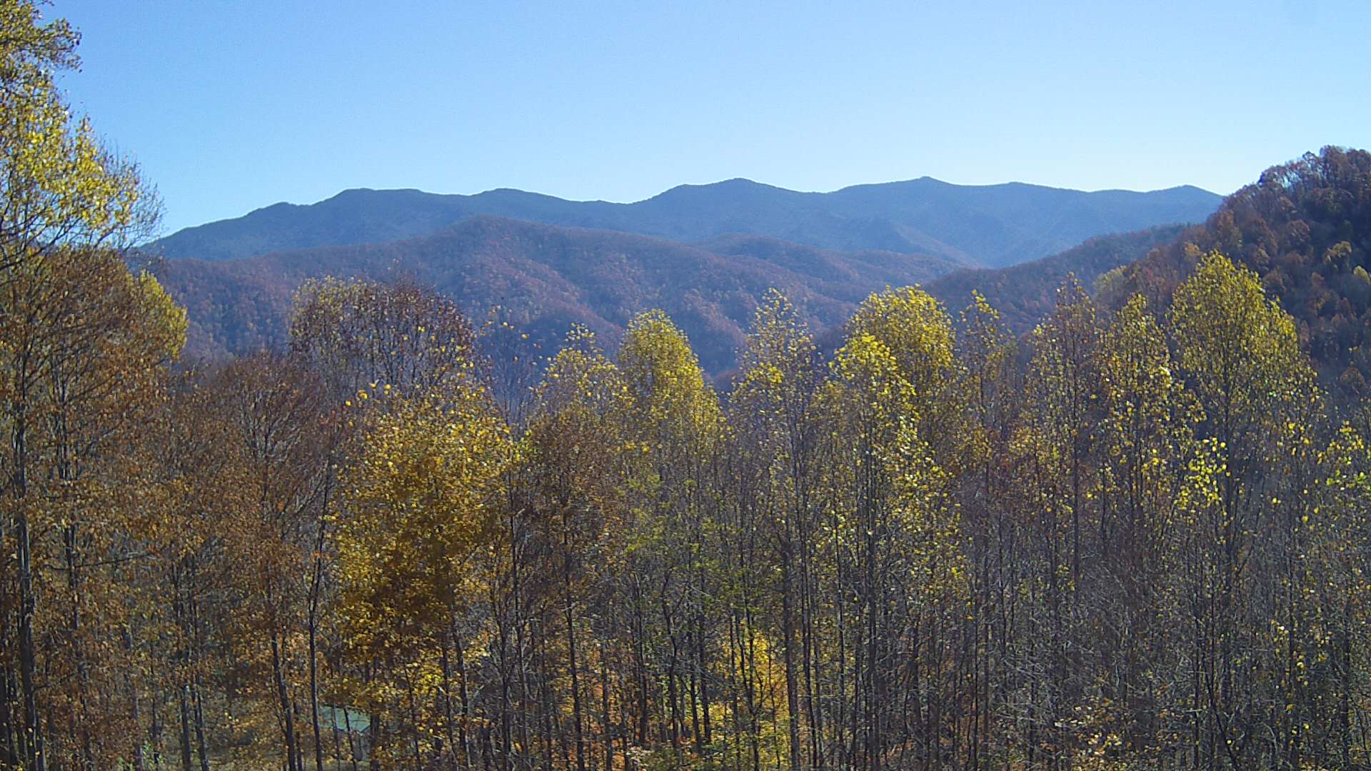 click for next image... slideshow image