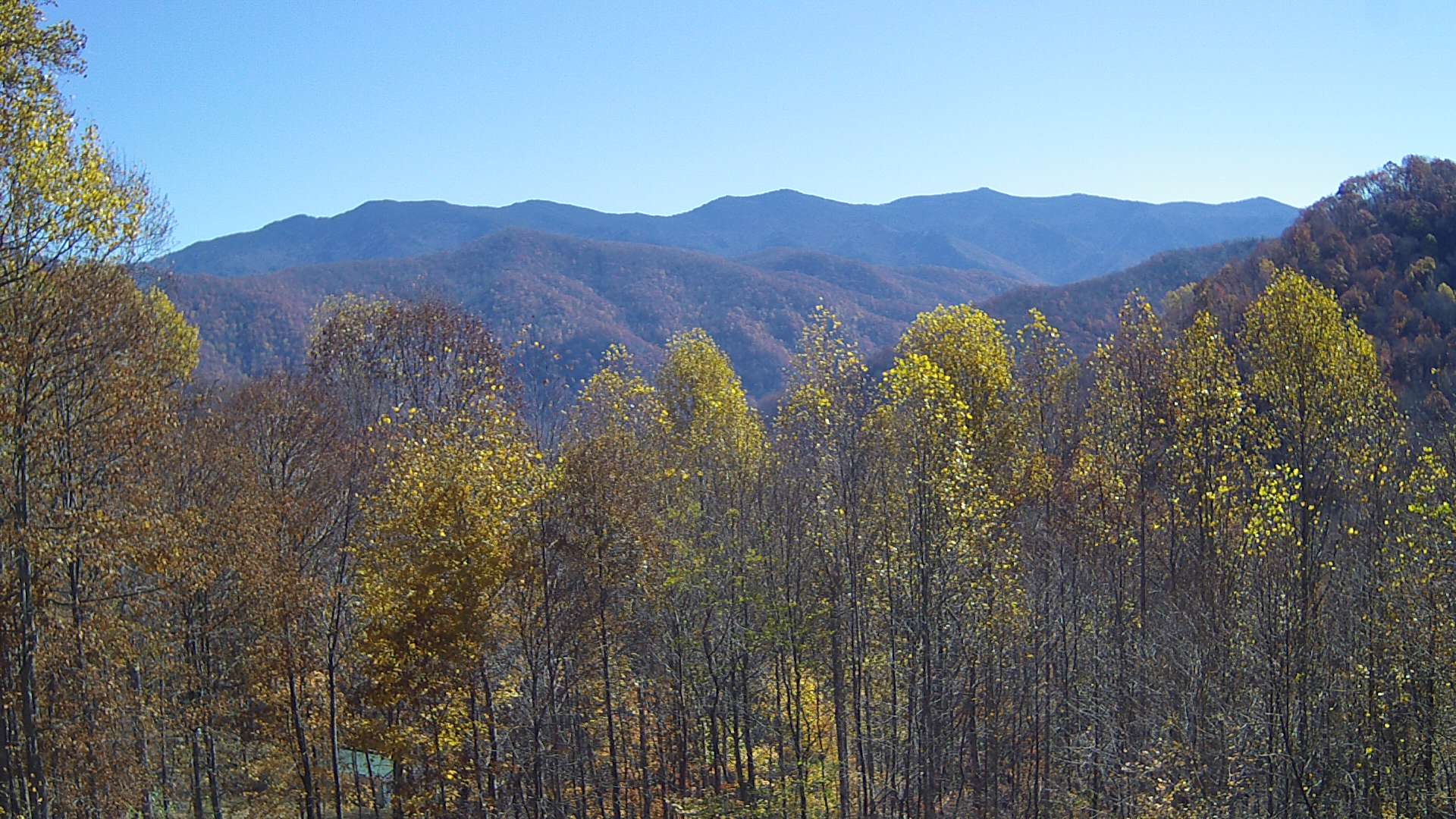 click for next image... slideshow image