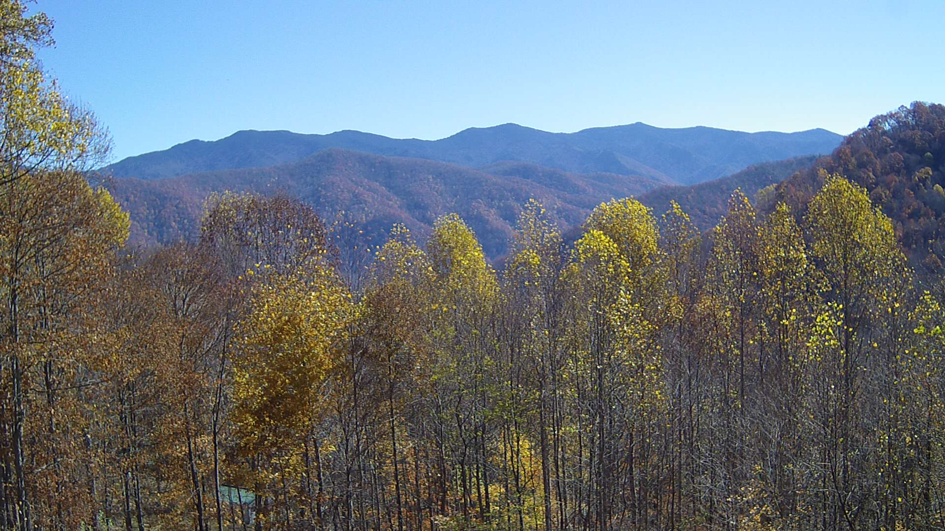 click for next image... slideshow image