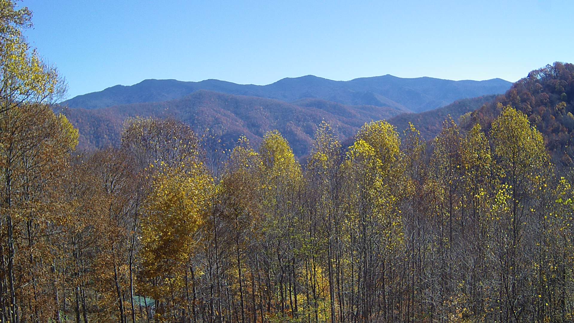 click for next image... slideshow image