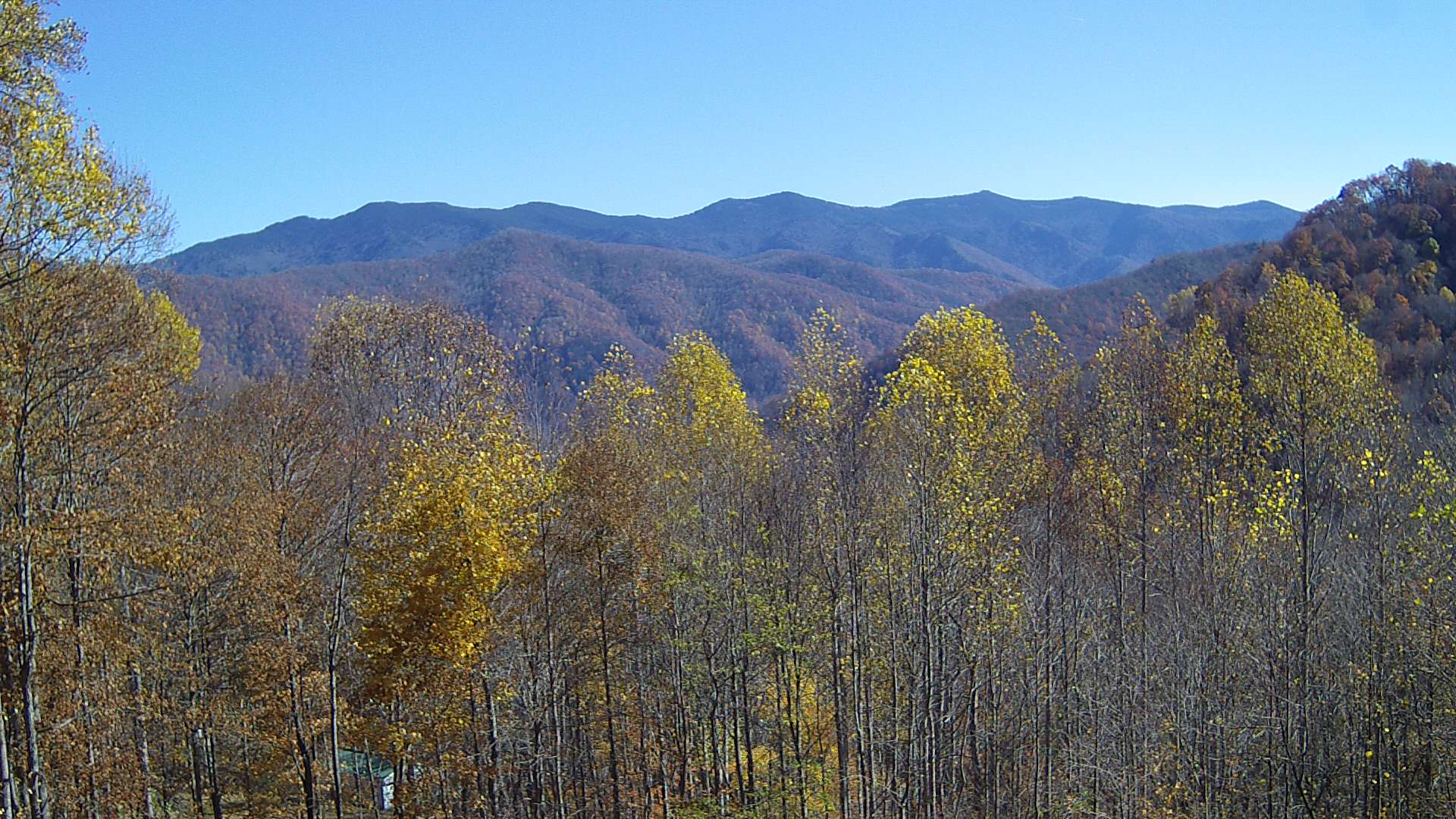 click for next image... slideshow image