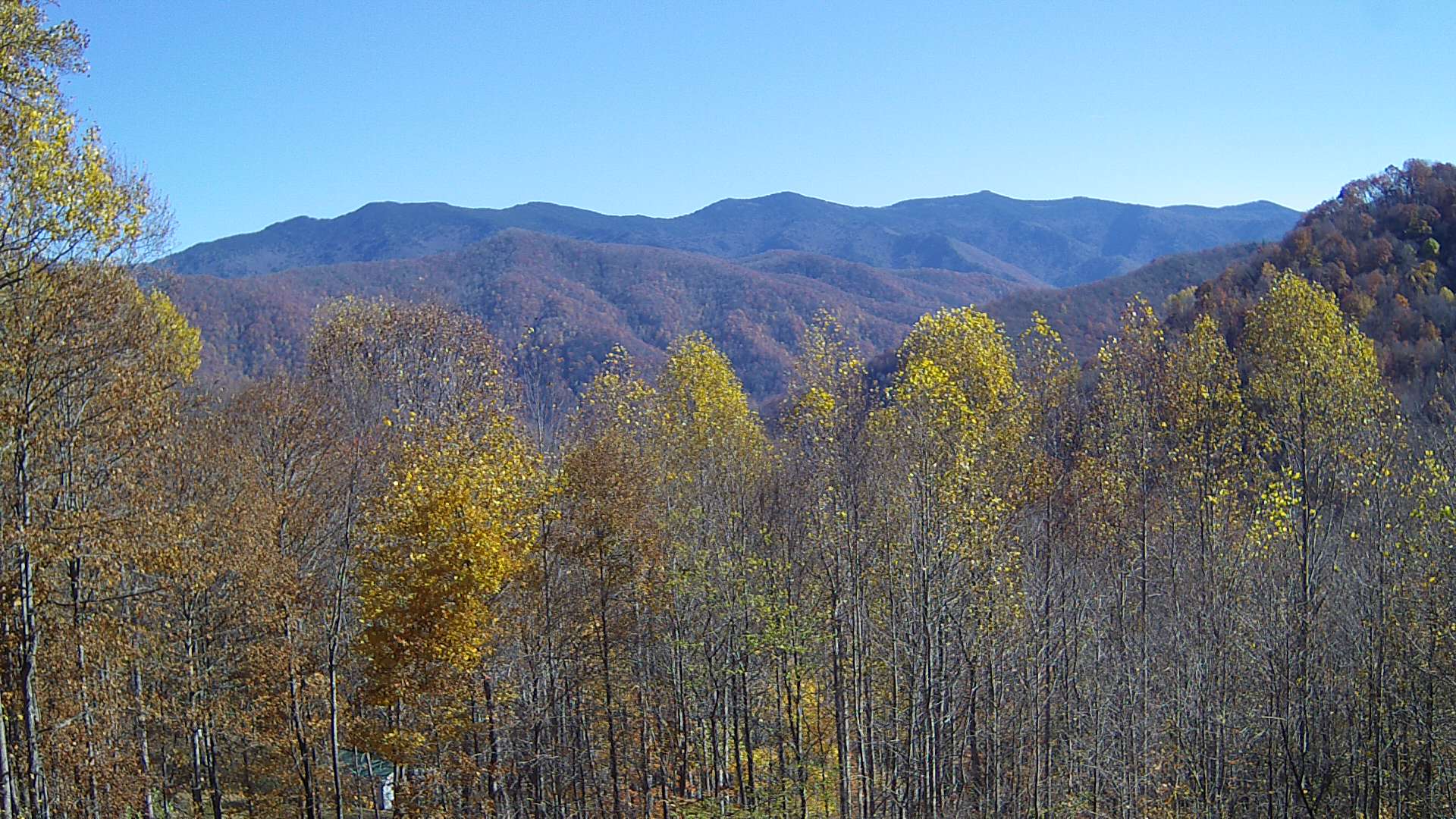 click for next image... slideshow image