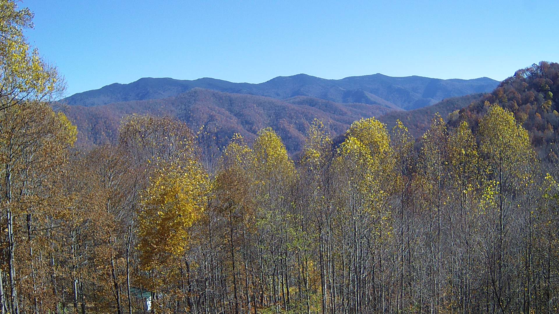 click for next image... slideshow image