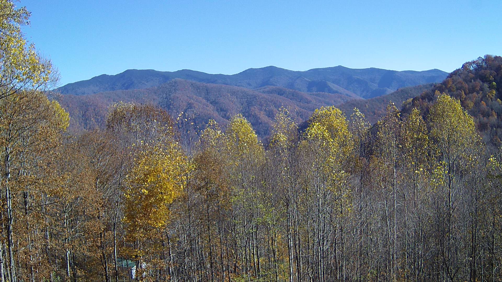 click for next image... slideshow image