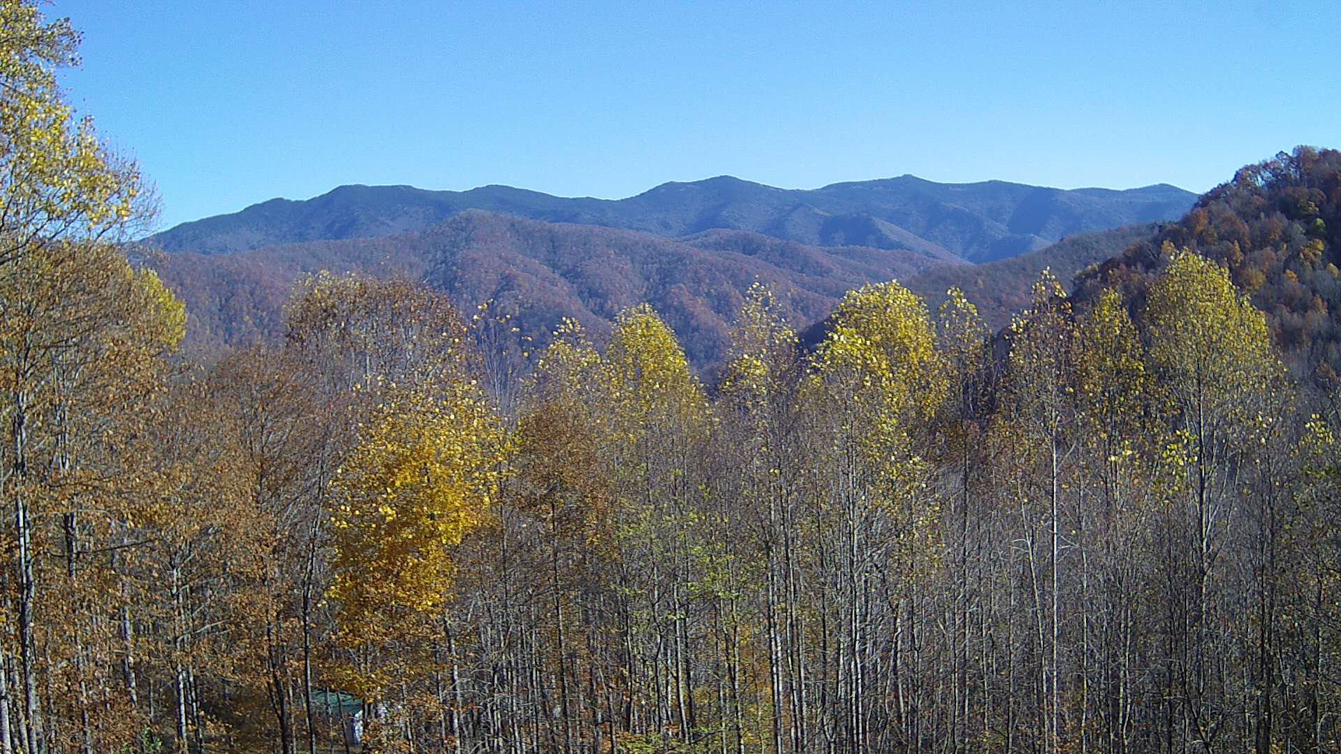 click for next image... slideshow image