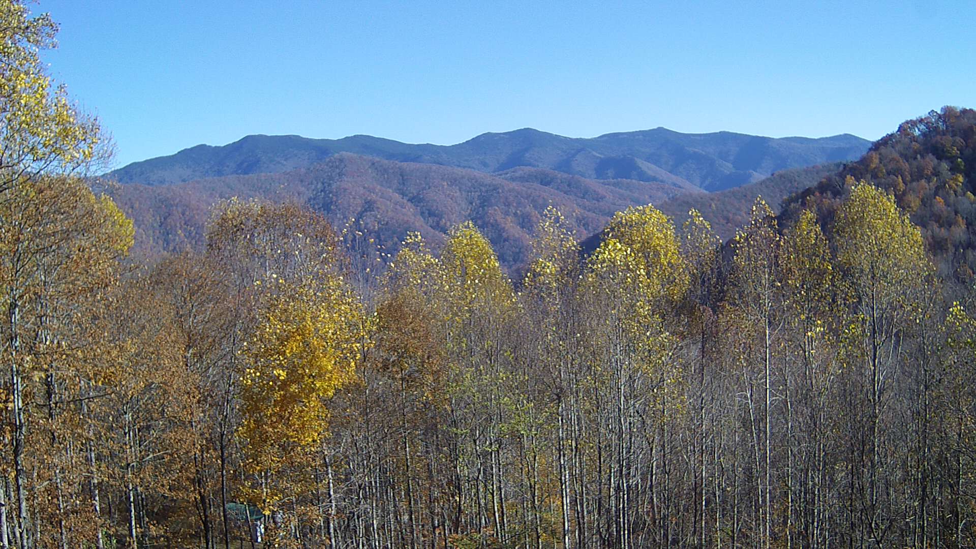 click for next image... slideshow image