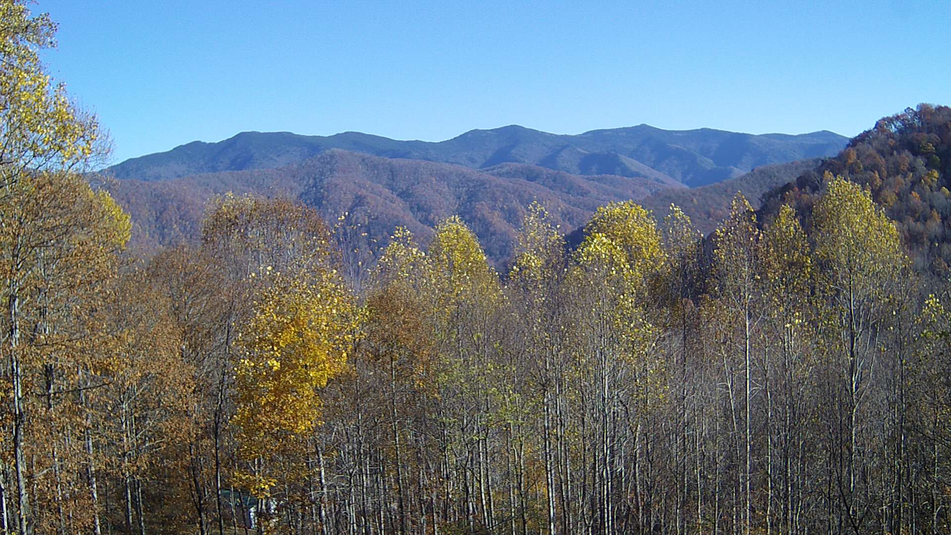 click for next image... slideshow image