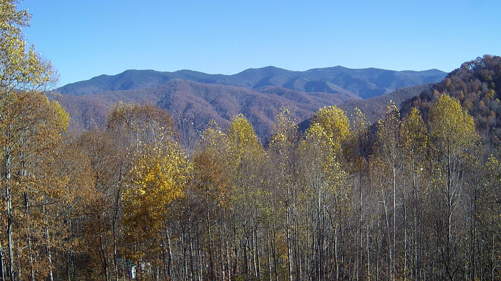 click for next image... slideshow image